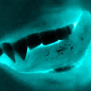 feel (feat. mürgine)