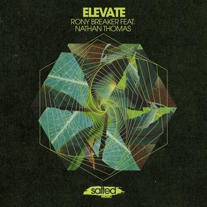 Elevate (Miguel Migs Salty Space Dub)