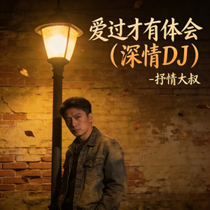 爱过才有体会 (深情DJ)封面