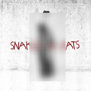Snakes and Rats (Explicit)