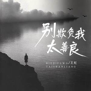 别欺负我太善良