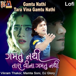 Gamtu Nathi Tara Vina Gamtu Nathi (Lofi)