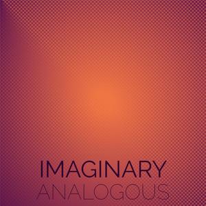 Imaginary Analogous