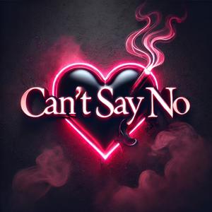 Can't Say No (feat. Reech.FrFr)