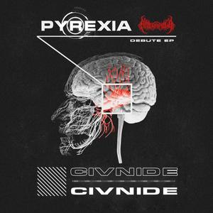 GNIENIE (Pfista Remix)