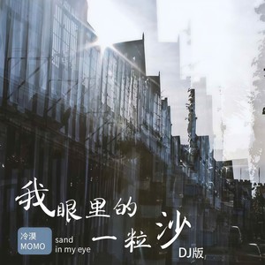 冷漠 - 我眼里的一粒沙 (DJ版伴奏)