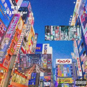 Tokyo-.-NiGGz(feat. WTF & 701 Blinger) (Explicit)
