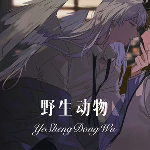 V. Ciaccona (Remix|恰空舞曲)