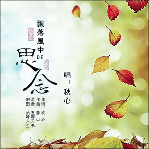 飘落风中的思念