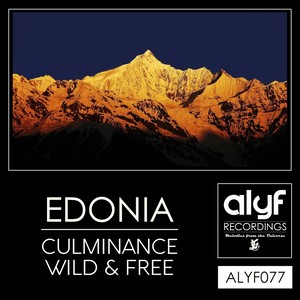 Wild & Free (Original Mix)