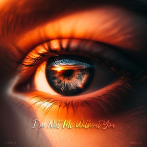 I'm Not Me Without You