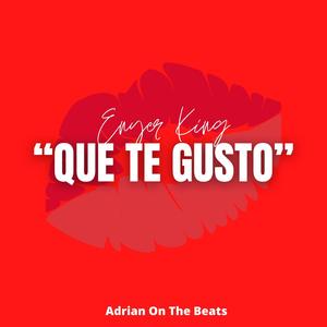 Que Te Gusto