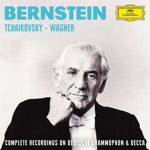 Tristan und Isolde, WWV 90, Act II Scene 3 - Wagner: Tristan und Isolde, WWV 90, Act II Scene 3: Rette dich, Tristan! (Live)