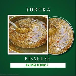 Pisseuse (on pisse dedans ?)