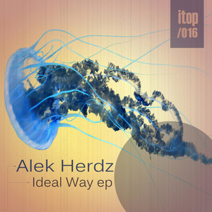 Ideal Way (Original Mix)