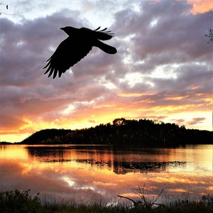 Old Norse Saga of War(feat. Anastasia Mg)