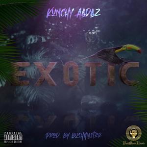 Exotic (feat. Bushmaster Beats) [Explicit]