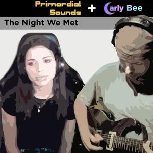 The Night We Met (feat. Carly Bee)