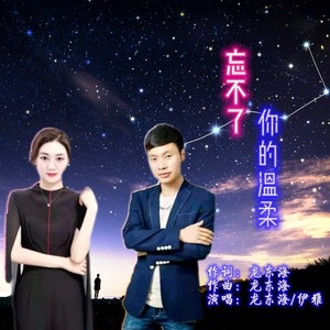 龙东海 - 忘不了你的温柔