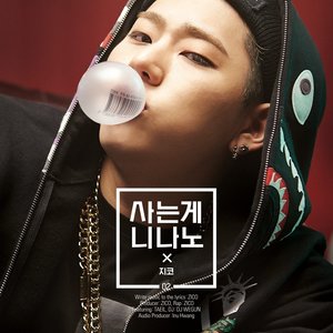 사는게 니나노 (生活就是曲调) (지코 ver.)