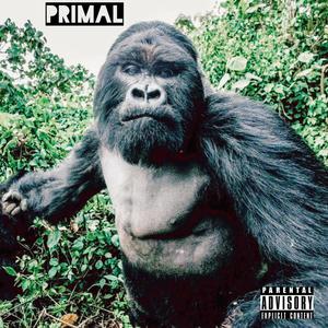 Primal (Explicit)