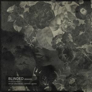 Blinded (remixed)