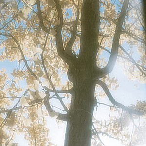 是我无法的美好