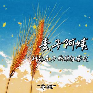 麦子阿姨 (种完麦子我就往南走)