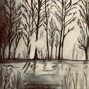 Joe McDonald - Why Can’t I