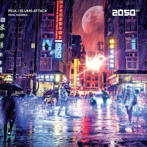 2050 EP (Explicit)