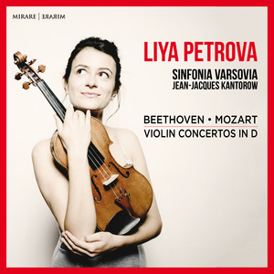 Violin Concerto in D Major, Op. 61 - Violin Concerto in D Major, Op. 61: I. Allegro ma non troppo