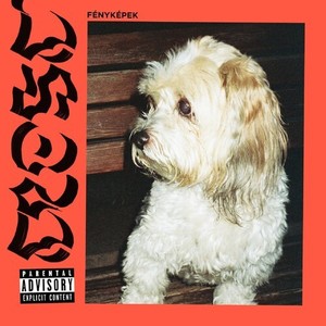Szoke hajú lány (Explicit)