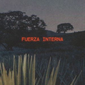 Fuerza Interna