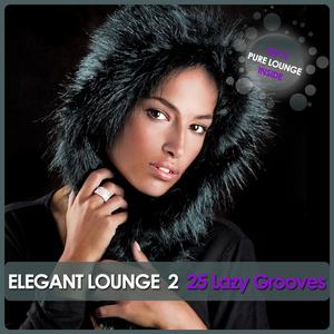 Elegant Lounge 2