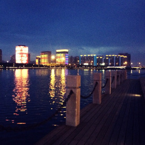 月光の雲海 (月光下的云海) (Inst.)