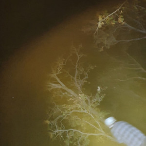 อารมณ์ (Explicit)