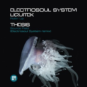 Rollin' Up (Original Mix)