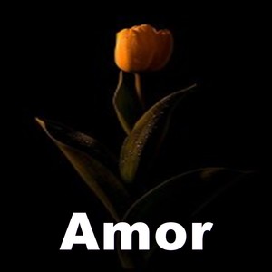 Amor