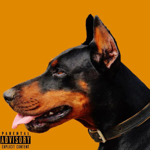 BIG DAWG (feat. Cash Ali) (Explicit)