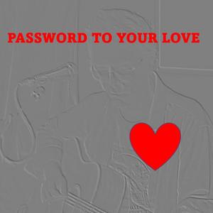 Password to your love (feat. Davide Dal Pozzolo)