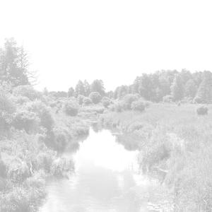 sense you . (Explicit)