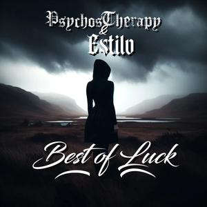 Best of Luck (feat. Estilo) [Explicit]