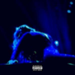 The Blue Room, Vol. 1 (Explicit)