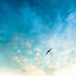 Sacred - Adulescentia (Original Mix)