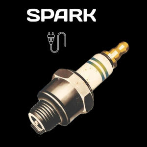 SPARK PLUG (feat. Traffic Patrick & SILVR) [Explicit]