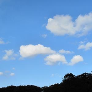 I Don't Know You (feat. 4cf) (Explicit)