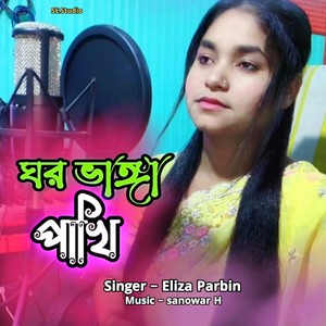 Akta Ghor Vanga Pakhi