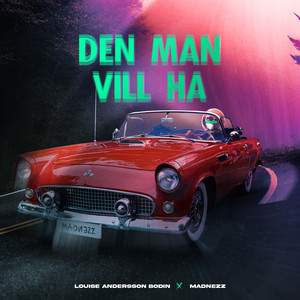 DEN MAN VILL HA
