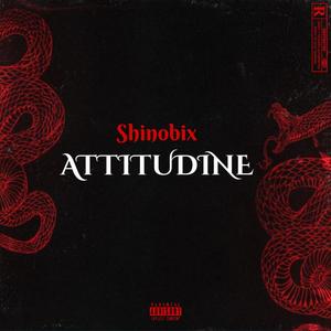 Attitudine (deluxe) [Explicit]