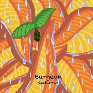 Burgeon